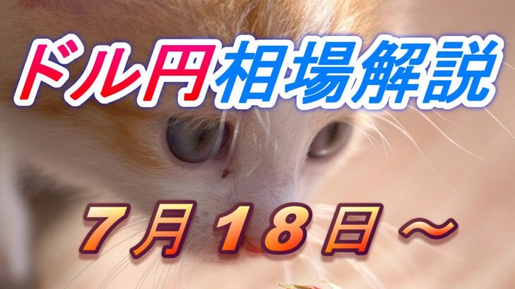 【TAKA FX】ドル円為替相場の今週の動きと来週の展望をチャートから解説。日経平均、NYダウ、金チャートも。7月18日～