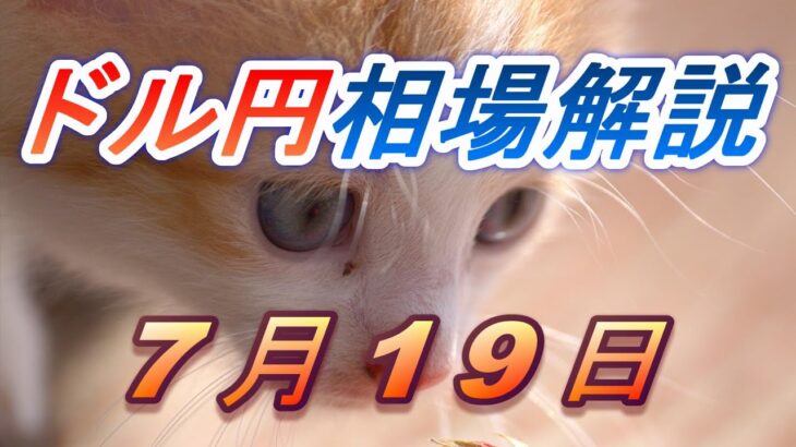 【TAKA FX】ドル円為替相場の前日の動きをチャートから解説。日経平均、NYダウ、金チャートも。7月19日