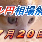 【TAKA FX】ドル円為替相場の前日の動きをチャートから解説。日経平均、NYダウ、金チャートも。7月20日