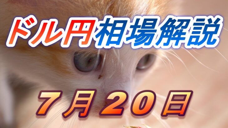 【TAKA FX】ドル円為替相場の前日の動きをチャートから解説。日経平均、NYダウ、金チャートも。7月20日