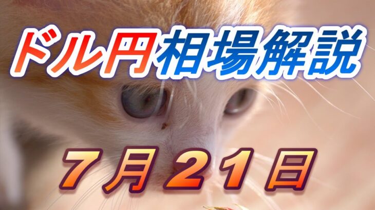 【TAKA FX】ドル円為替相場の前日の動きをチャートから解説。日経平均、NYダウ、金チャートも。7月21日