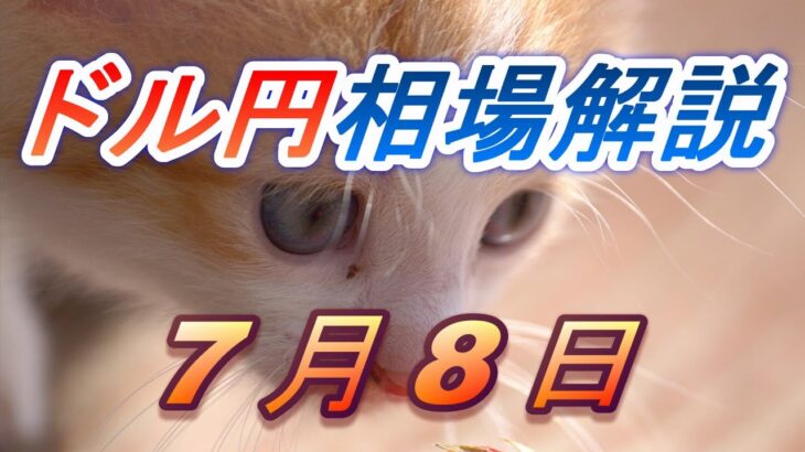 【TAKA FX】ドル円為替相場の前日の動きをチャートから解説。日経平均、NYダウ、金チャートも。7月8日