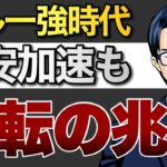 ドル一強時代　円安加速も　反転の兆候