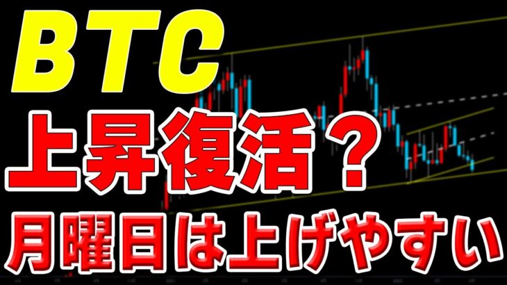 【仮想通貨ビットコイン】上昇の勢い復活？月曜日は午前中に上げやすく午後から下落しやすい
