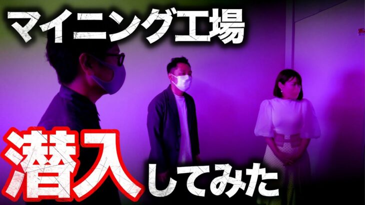仮想通貨マイニング会社に潜入したら怪しすぎた