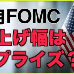 米国株失速。9月FOMCはサプライズとなる？