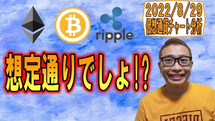 【仮想通貨 ﾋﾞｯﾄｺｲﾝBTC ＆ ｱﾙﾄｺｲﾝ 分析】想定通りでしょ!?
