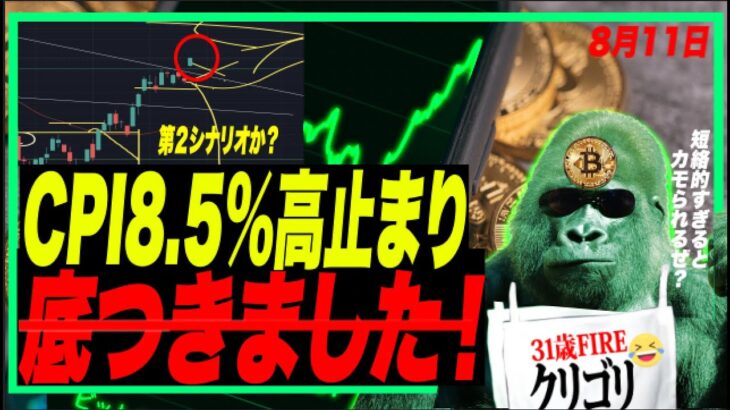 【CPI8.5%】米インフレ高止まりで底到来、TO The Moonか？w 「結局歴史学ばない過ち」10+％の上げでブル転換した人過去にカモられて消えてった人ですから、残念〜っ！！w