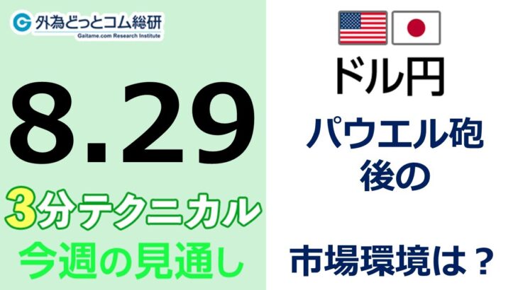 FX/為替予想  「ドル/円、パウエル砲 後の市場環境は？」見通しズバリ！3分テクニカル分析 今週の見通し　2022年8月29日
