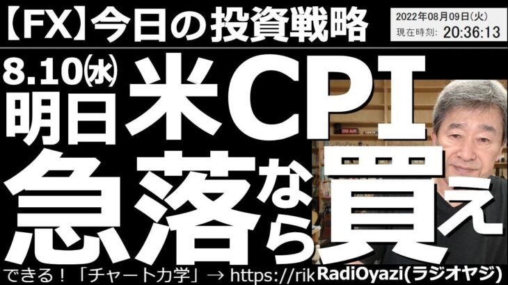 【為替(FX)－今日の投資戦略】明日、８月10日(水)のアメリカCPIで米ドルが急落すれば買い！　明日夜９時半にアメリカCPI(消費者物価指数)が出る。その結果米ドルが下落すれば「買い」を検討したい。