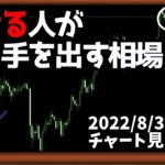 FXでこれやると負けやすい②【日刊チャート見える化2022/8/31(ドル円、ポンド円、ユーロドル、ポンドドル、ゴールド等)【FX見える化labo】