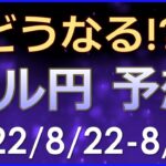 【FXドル円最新予想】ジャクソンホール・PCEに注目！140円目指すか！？ドル円の来週の為替相場予想と投資戦略！(22/8/22週)