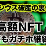 セルシウス破産の裏話！超高額NFTは暴落続くもガチホ継続？