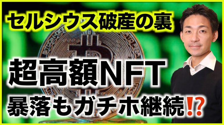 セルシウス破産の裏話！超高額NFTは暴落続くもガチホ継続？