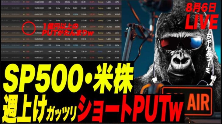 【週明けPUT】SP500・米株・QQQに1億円のPUTがぎっしり！イギリスで携帯代を払えない人がなんと600万人w イッチャッテルぅ〜！中国の食品クオリティがマジで吐き気すぎたw