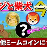 【真の仮想通貨】ドージと柴犬(SHIB)と他ミームコインの今後について大調査してみた件