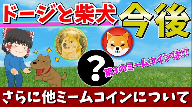【真の仮想通貨】ドージと柴犬(SHIB)と他ミームコインの今後について大調査してみた件