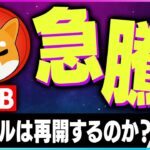 【暗号資産SHIB】シバイヌの上昇トレンド再開か？上昇の理由を分析【仮想通貨】【暗号通貨】【投資】【副業】【初心者】