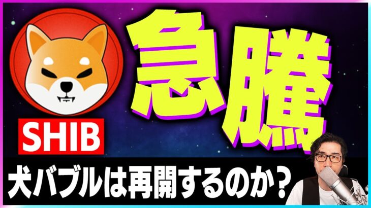 【暗号資産SHIB】シバイヌの上昇トレンド再開か？上昇の理由を分析【仮想通貨】【暗号通貨】【投資】【副業】【初心者】