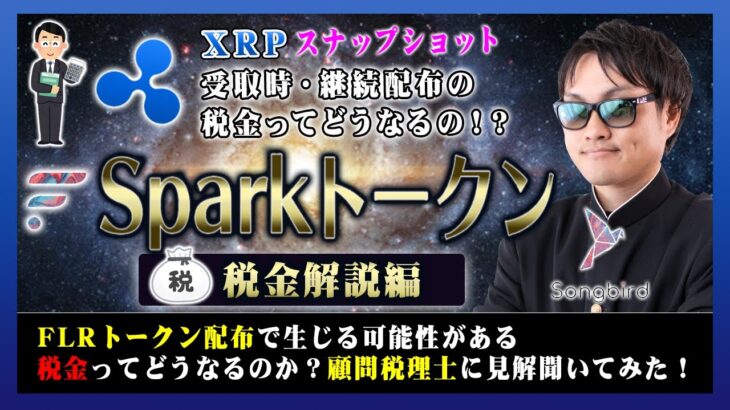 【投資】Sparkトークン税金特集！顧問税理士にガチ相談！XRPスナップショットでFLRを受け取った際に発生する可能性がある税金問題についてに見解をお聞きした分をまとめて解説！