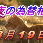 【TAKA FX】ドル、円、ユーロ、ポンド、豪ドルの為替相場の前日の動きをチャートから解説。8月19日