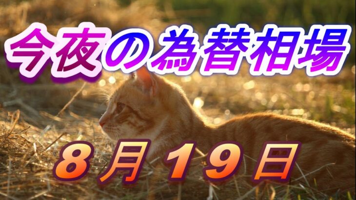 【TAKA FX】ドル、円、ユーロ、ポンド、豪ドルの為替相場の前日の動きをチャートから解説。8月19日