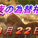 【TAKA FX】ドル、円、ユーロ、ポンド、豪ドルの為替相場の前日の動きをチャートから解説。8月22日