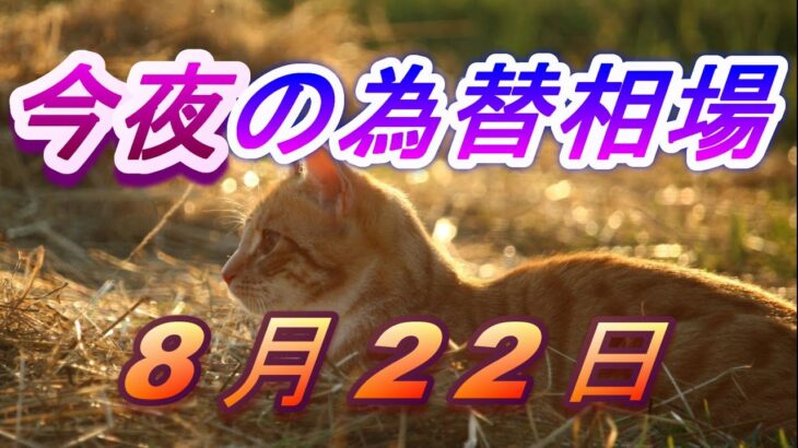 【TAKA FX】ドル、円、ユーロ、ポンド、豪ドルの為替相場の前日の動きをチャートから解説。8月22日