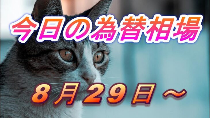 【TAKA FX】ドル、円、ユーロ、ポンド、豪ドルの為替相場の前日の動きをチャートから解説。8月26日～