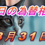 【TAKA FX】ドル、円、ユーロ、ポンド、豪ドルの為替相場の前日の動きをチャートから解説。8月31日