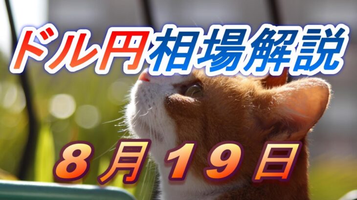 【TAKA FX】ドル円為替相場の前日の動きをチャートから解説。日経平均、NYダウ、金チャートも。8月19日