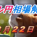 【TAKA FX】ドル円為替相場の今週の動きと来週の展望をチャートから解説。日経平均、NYダウ、金チャートも。8月22日～
