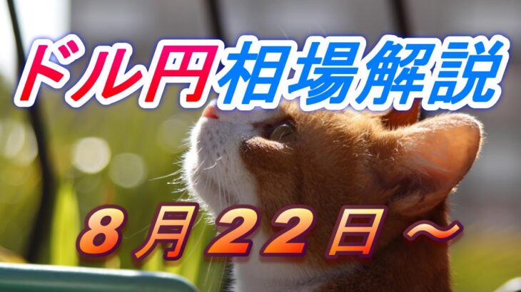 【TAKA FX】ドル円為替相場の今週の動きと来週の展望をチャートから解説。日経平均、NYダウ、金チャートも。8月22日～