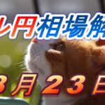 【TAKA FX】ドル円為替相場の前日の動きをチャートから解説。日経平均、NYダウ、金チャートも。8月23日