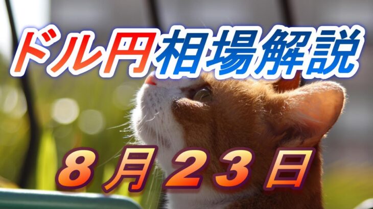 【TAKA FX】ドル円為替相場の前日の動きをチャートから解説。日経平均、NYダウ、金チャートも。8月23日