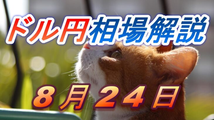 【TAKA FX】ドル円為替相場の前日の動きをチャートから解説。日経平均、NYダウ、金チャートも。8月24日