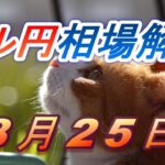 【TAKA FX】ドル円為替相場の前日の動きをチャートから解説。日経平均、NYダウ、金チャートも。8月25日