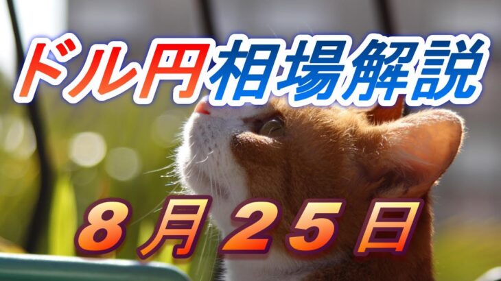 【TAKA FX】ドル円為替相場の前日の動きをチャートから解説。日経平均、NYダウ、金チャートも。8月25日
