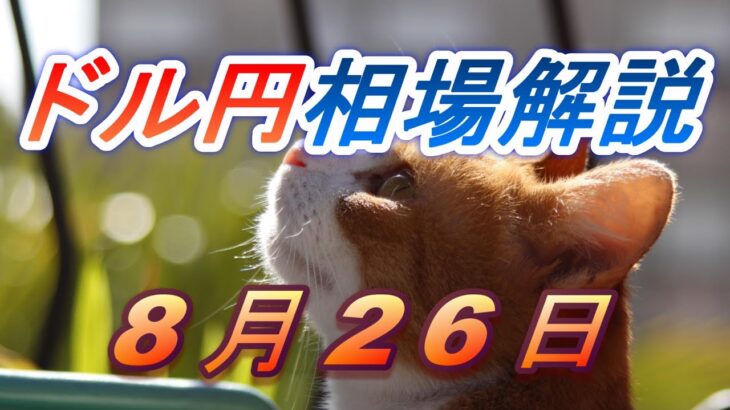 【TAKA FX】ドル円為替相場の前日の動きをチャートから解説。日経平均、NYダウ、金チャートも。8月26日