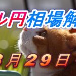 【TAKA FX】ドル円為替相場の今週の動きと来週の展望をチャートから解説。日経平均、NYダウ、金チャートも。8月29日～
