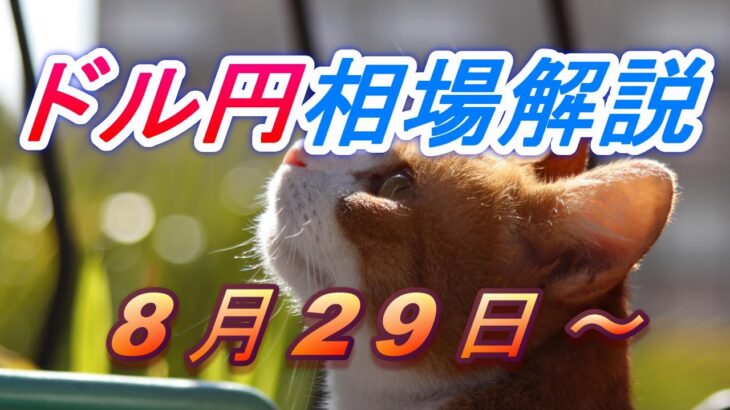 【TAKA FX】ドル円為替相場の今週の動きと来週の展望をチャートから解説。日経平均、NYダウ、金チャートも。8月29日～