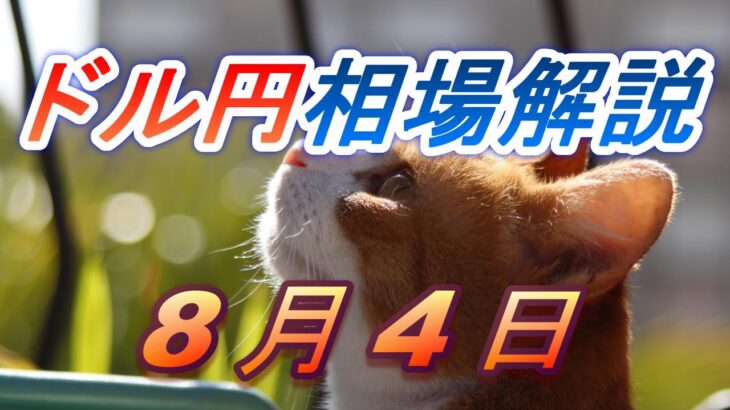 【TAKA FX】ドル円為替相場の前日の動きをチャートから解説。日経平均、NYダウ、金チャートも。8月4日