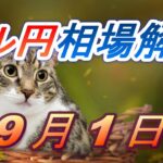 【TAKA FX】ドル円為替相場の前日の動きをチャートから解説。日経平均、NYダウ、金チャートも。9月1日