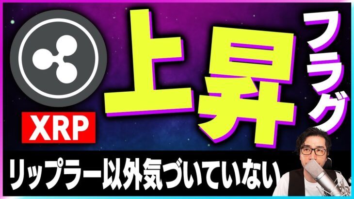 【暗号資産XRＰ】リップルの業績好調！上昇フラグがたっている！【仮想通貨】【暗号通貨】【投資】【副業】【初心者】