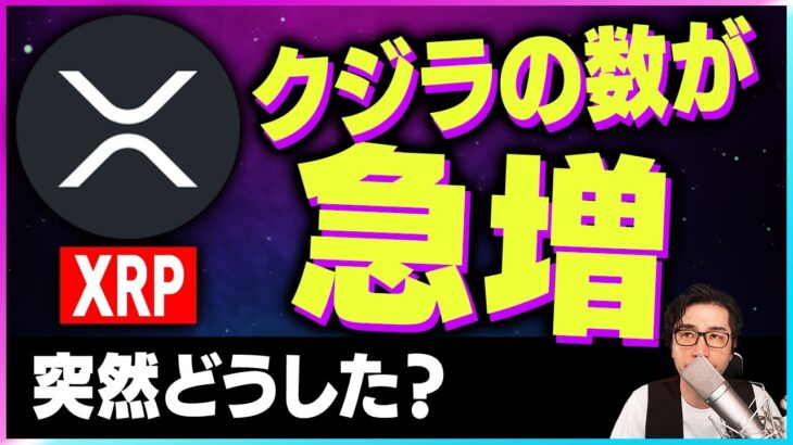 【暗号資産XRP】リップルのクジラの数が急増。好材料か？【仮想通貨】【暗号通貨】【投資】【副業】【初心者】