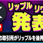 【暗号資産XRP】リップル・SHIBに好材料あり！上昇くるか？【仮想通貨】【暗号通貨】【投資】【副業】【初心者】