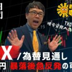 上念司 (経済評論家)「#fx / #為替 見通し ドル/円暴落後急反発の可能性」「#tko木本  #暗号通貨(#仮想通貨) への投資勧誘疑惑も」おはよう寺ちゃん残業中！7月25日