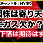 米国株は既にガス欠？物価下落は既に期待はずれか？