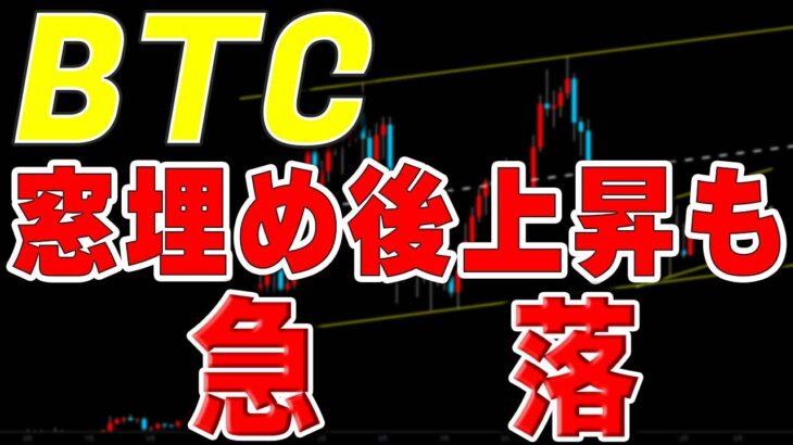 【仮想通貨ビットコイン】高値更新後、急落！この後の判断基準を解説します。