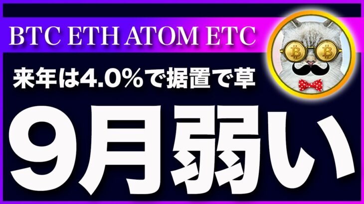 【９月は弱いと思います】ビットコイン・９月相場は市場が不安定になる可能性が高いと思います【仮想通貨・戦略を先出しで毎日更新】